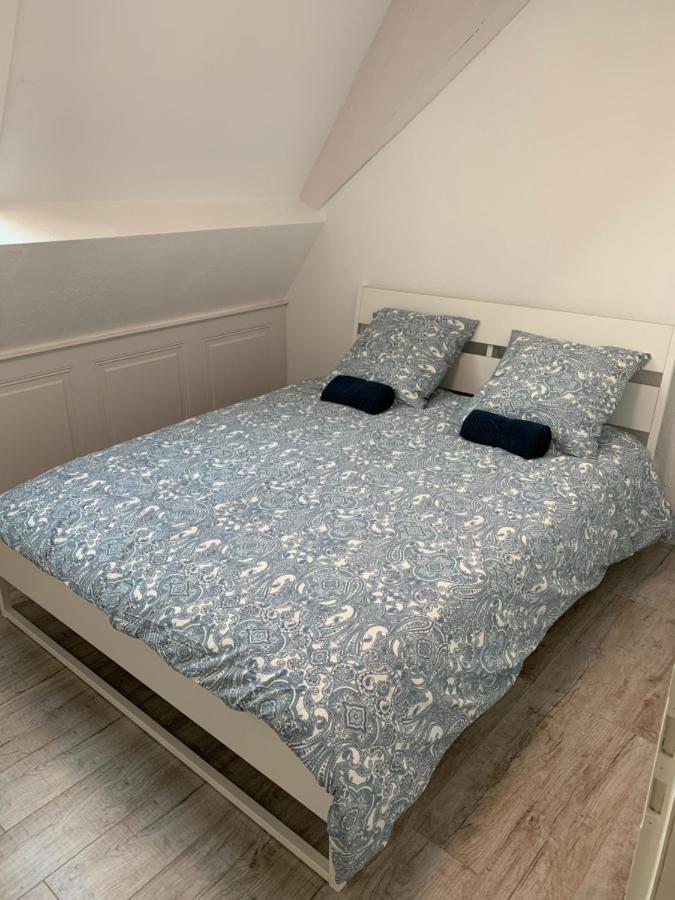 Historical Town Center Spacious Flat 콜마 외부 사진