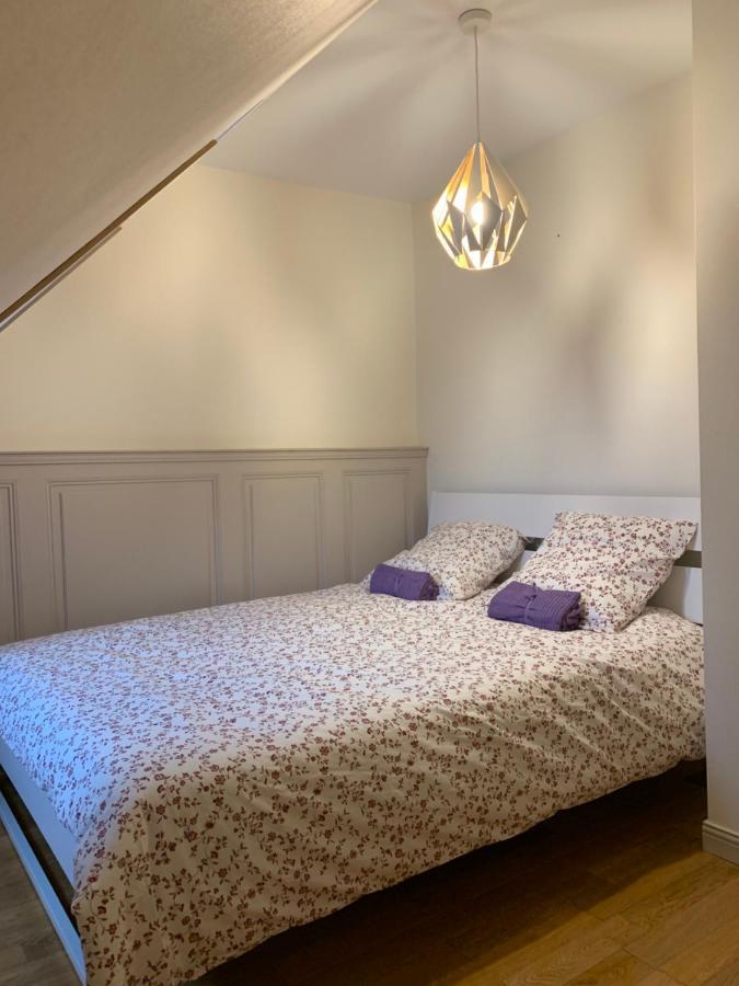 Historical Town Center Spacious Flat 콜마 외부 사진