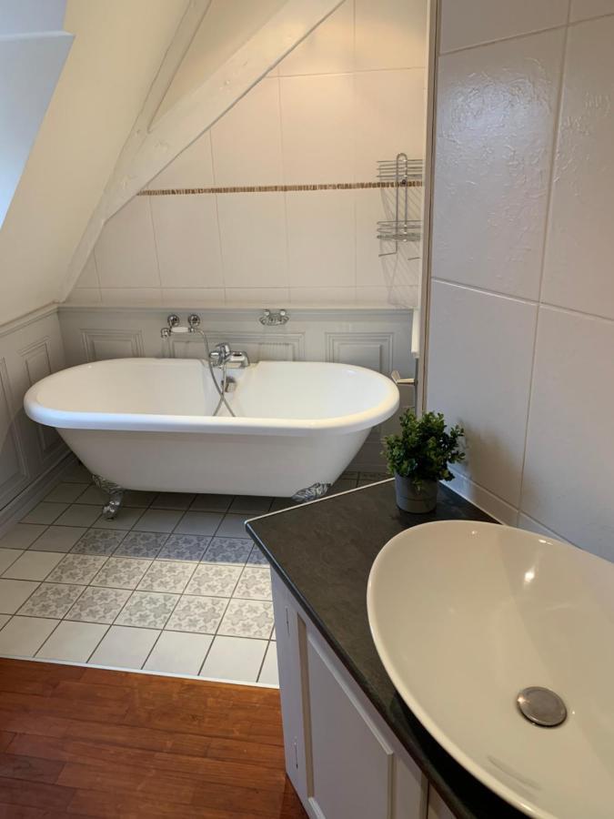 Historical Town Center Spacious Flat 콜마 외부 사진