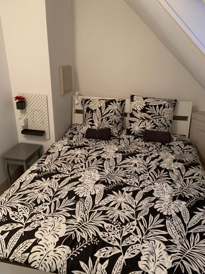 Historical Town Center Spacious Flat 콜마 외부 사진
