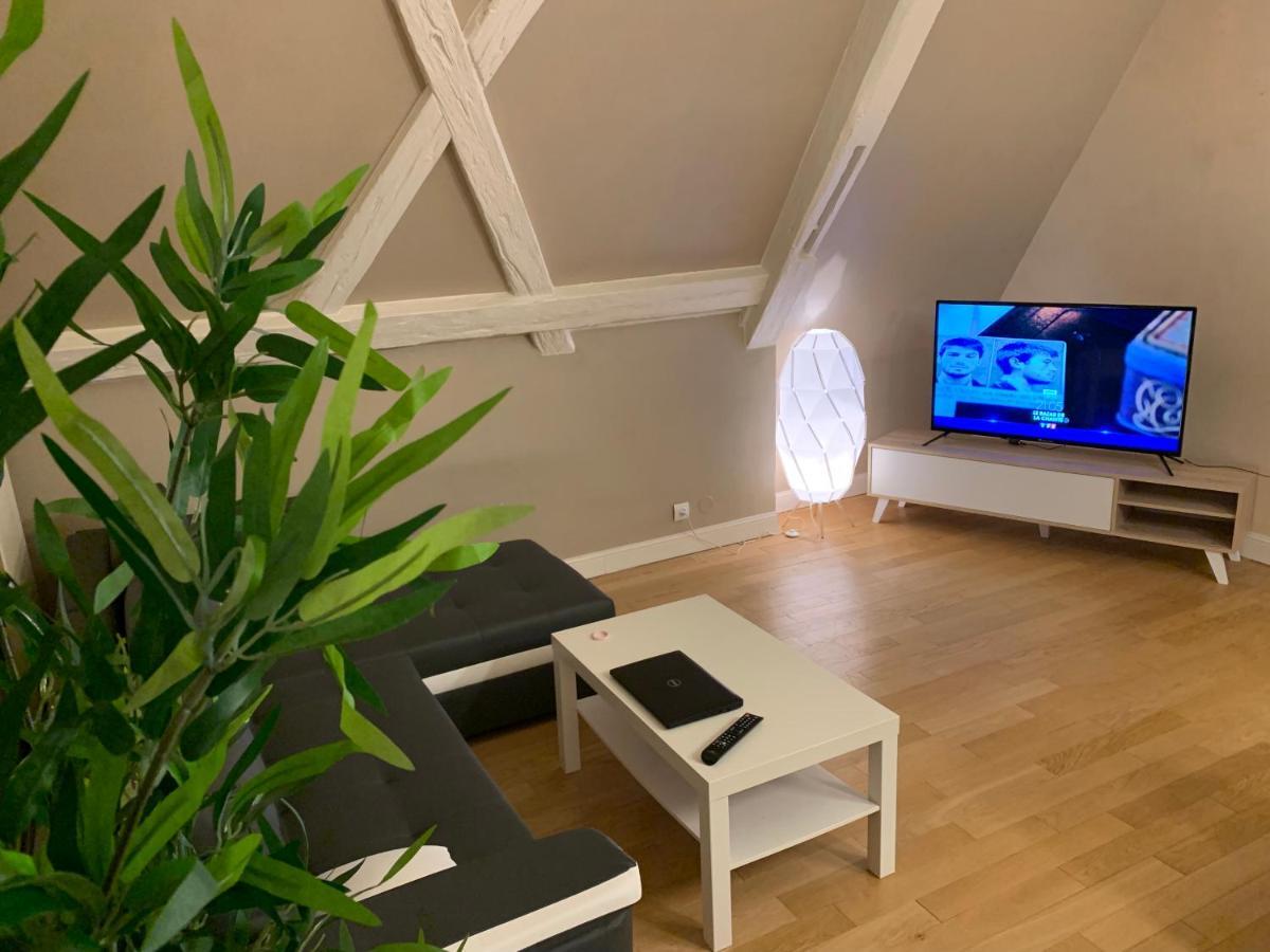 Historical Town Center Spacious Flat 콜마 외부 사진