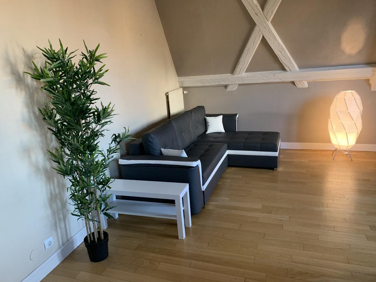Historical Town Center Spacious Flat 콜마 외부 사진